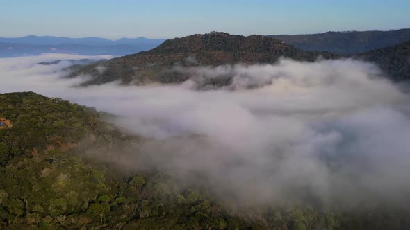 Morning Fog in Mountain Hills Covered with Forest