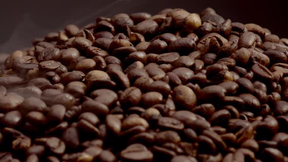 Macro View Coffee Seeds Isolated on Dark Background