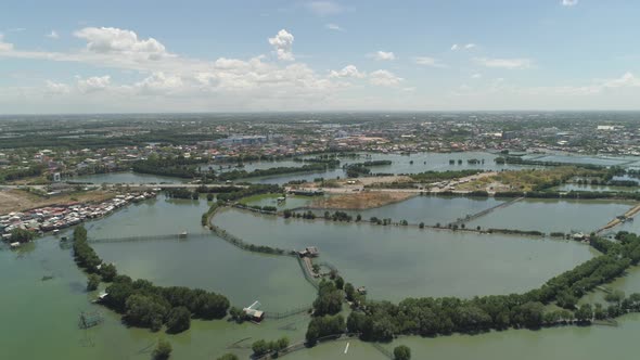 Town Among the Water in Mangroves