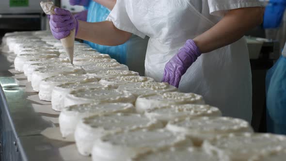 White Cakes on Long Table