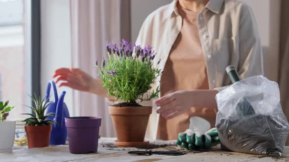 Woman Planting Pot Flowers at Home