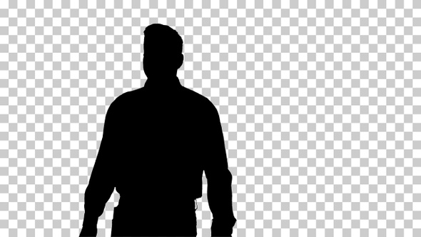 Silhouette worker Walking in and out of the frame, Alpha Channel alt