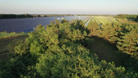 Aerial View Solar Power Station on Green Field at Sunset Solar Panels in Row