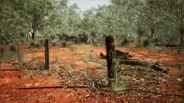 Old Rusted Small Farm Fence