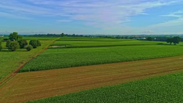 Drone View Passing Thru Smoke and Seeing Amish Farmlands