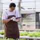Asian farmer checking hydroponic vegetables in a hydroponic farm - VideoHive Item for Sale