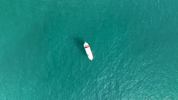 Fishing Near The Shore