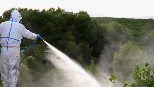 Man spraying toxic pesticides, pesticide, insecticides on fruit lemon growing plantation in Spain