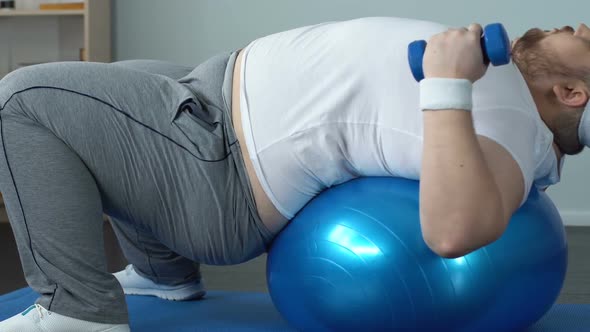 Chubby Bachelor Making Arms Exercises Dumbbells Lying on Ball, Burning Calories