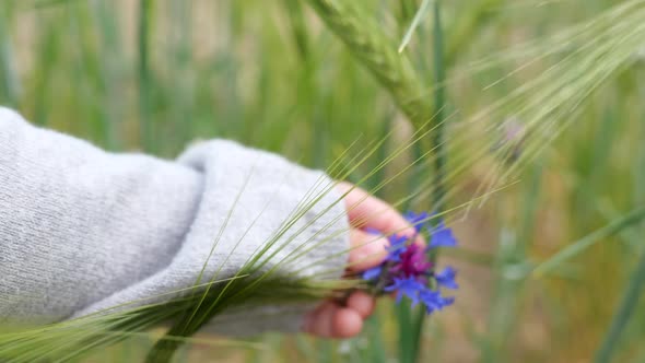 Little Baby Child Fingers Touching Flower in the Field