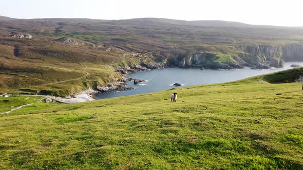 Walking at the Amazing Coastline at Port Between Ardara and Glencolumbkille in County Donegal