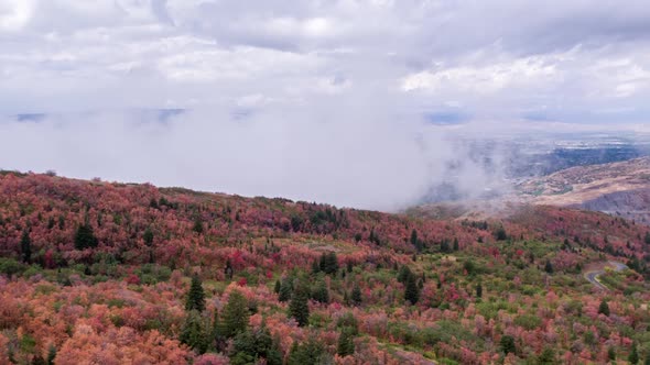 Aerial view of colorful foliage flying away from low rising clouds