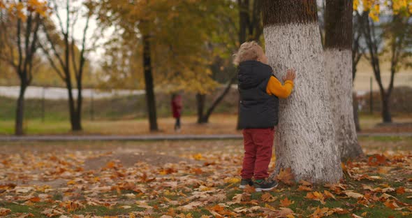 Little Boy Is Walking in Park at Autumn Day, Standing Near Old Tree, Picturesque Nature with Dry and