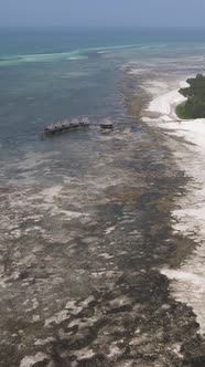 Tanzania  Vertical Video of Low Tide in the Ocean Near the Coast of Zanzibar Slow Motion