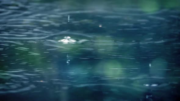 Raindrops On Water Surface