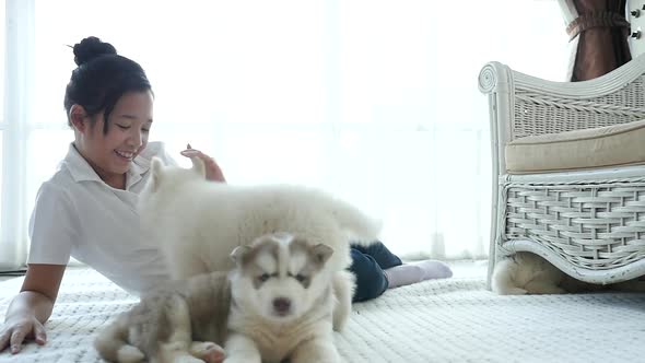 Cute Asian Girl Playing With Siberian Husky Puppies In A Room