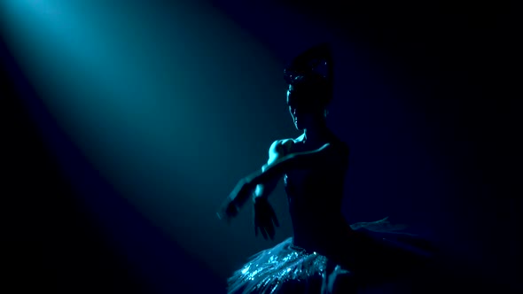 Silhouette of a Graceful Ballerina in a Chic Image of a Black Swan. Classic Ballet Pas. Shot in a