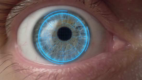 Brown Eye Girl with Futuristic Software Interface. Macro Shot