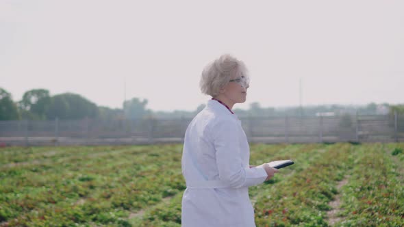 Woman Agronomist at Work