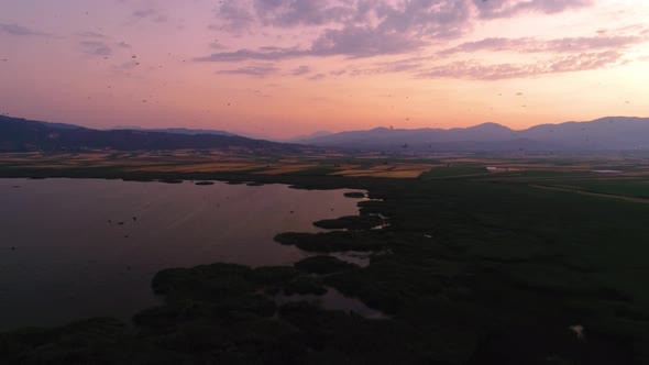 Birds Flying Over Lake at Sunset