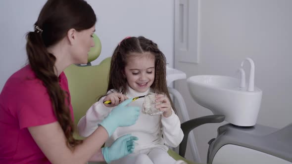 Dentist Showing Child How to Brush Teeth Using a Toothbrush and Jaw Model
