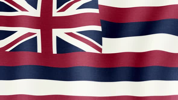 The National Flag of Hawaii