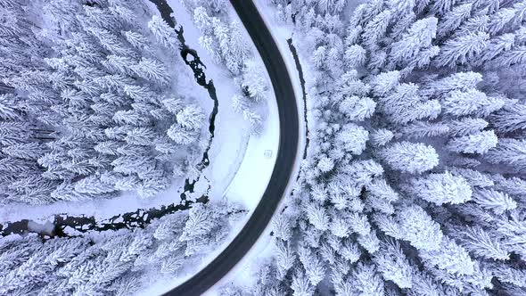 Aerial view of winter road and snow-covered pine trees.
