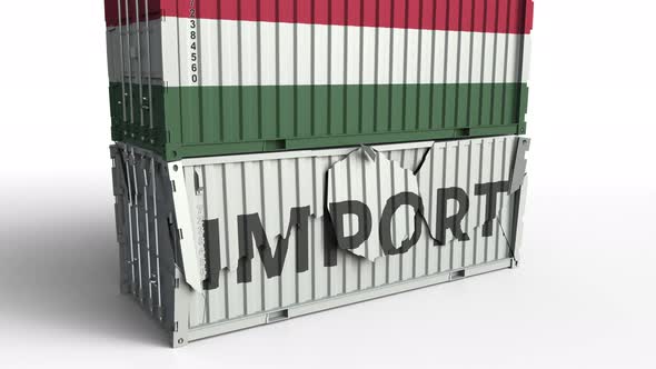 Container with Flag of Hungary Breaking Container with IMPORT Text alt