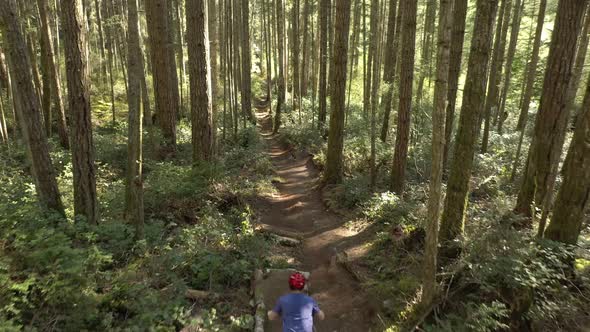 drone video of a mountain biker riding dirt trails through the lush forests of the Pacific Northwest