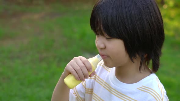 Cute Asian Child Eating Ice Cream In The Park