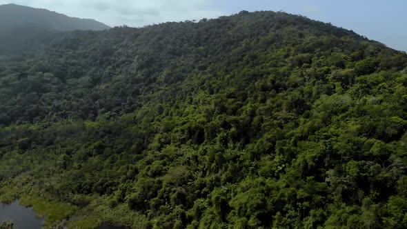 4k drone flight rainforest and black river