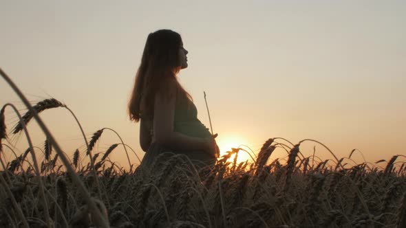 silhouette figure of happy pregnant red-haired young woman in dress standing in ripe wheat field