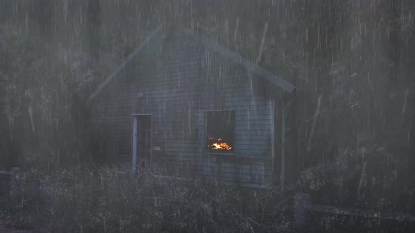 Rain And Thunder Strongly Poured Into The Wild House - No Rainy Sounds