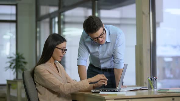 Cheerful Coworkers Satisfied With Project Result, Successful Teamwork in Office