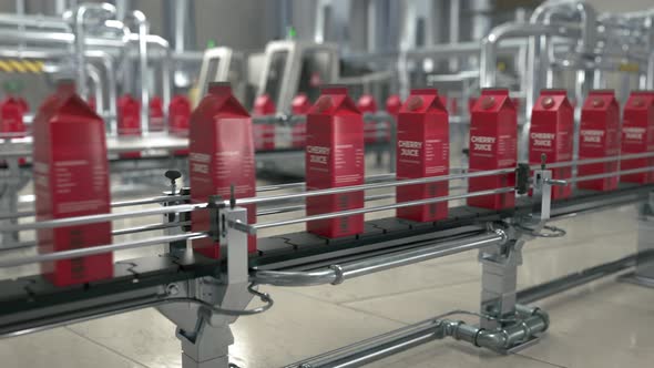 Automation of the packaging process on the industrial production line at a plant alt