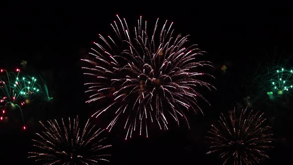 Colorful Fireworks Exploding in the Night Sky