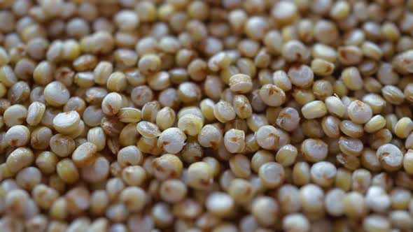 Macro Quinoa Seeds, Slider Shot