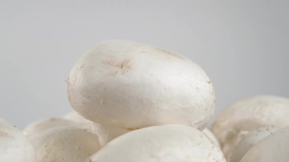 A raw white champignon mushroom with a textured cap rotates