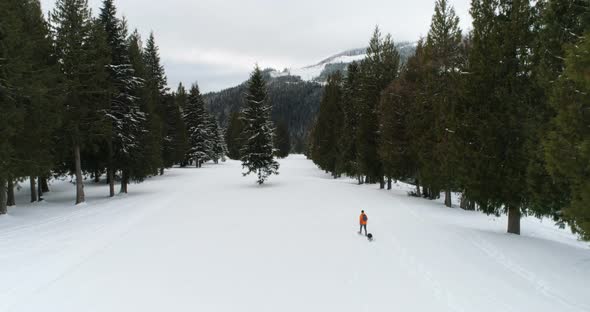 Man with dog walking on snowy forest 