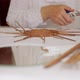 Mature Woman Making Paper Vine Basket at Home - VideoHive Item for Sale