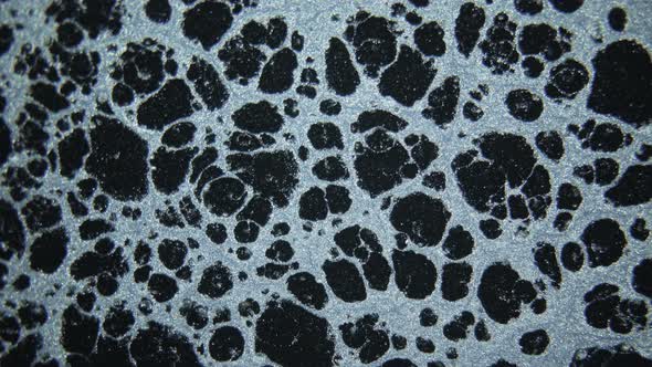 Paints Mixing Slowly alt