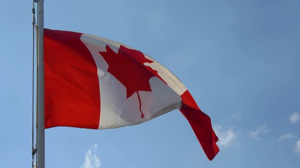 Flag of Canada waving in the wind