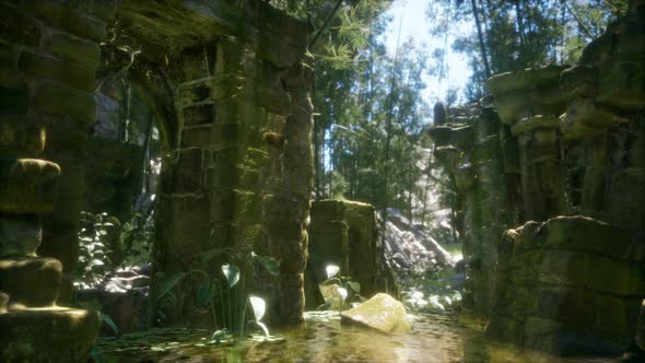 Ruined Ancient Stone House Overgrown with Plants and Ferns in Dense Green Forest alt