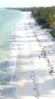 Beach on the Coast of Zanzibar Island Tanzania