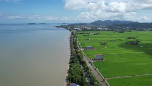 The Paddy Rice Fields of Kedah and Perlis, Malaysia