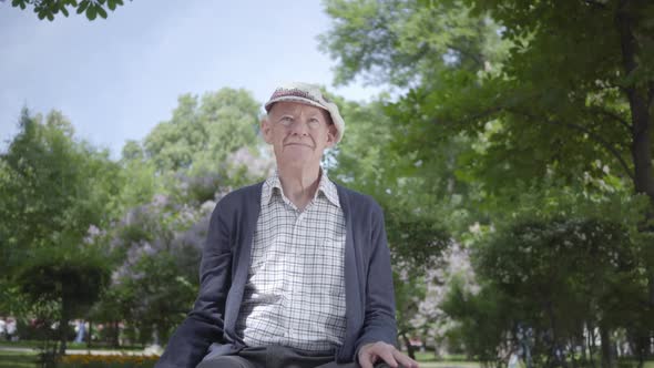 Portrait of Old Man in Amazing Beautiful Park