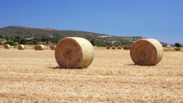 Farm field with hay bales