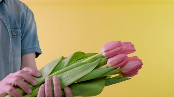 Bouquet of Tulips