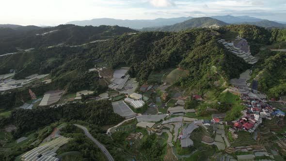 Cameron Highlands, Pahang Malaysia