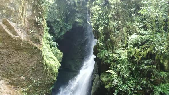 Beautiful waterfall in green forest and vegetation.  Tilt down shot